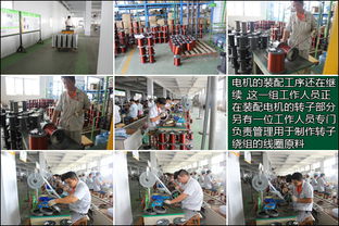 参观绿源山东工厂 精密科技驱动下的严苛工序与高品质产品制造